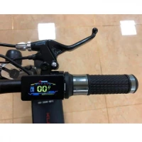 Бортовой компьютер (дисплей) и ручка газа для Kugoo C1